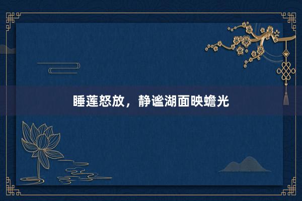 睡莲怒放，静谧湖面映蟾光