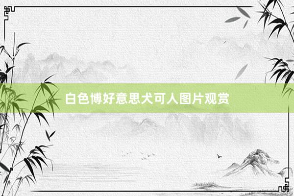 白色博好意思犬可人图片观赏
