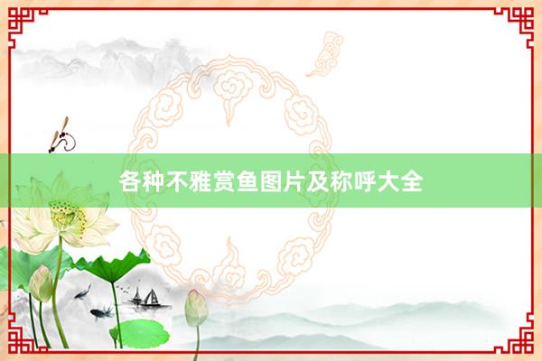 各种不雅赏鱼图片及称呼大全