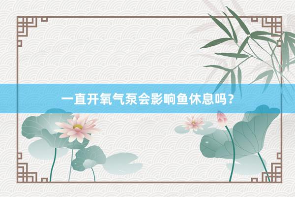 一直开氧气泵会影响鱼休息吗？
